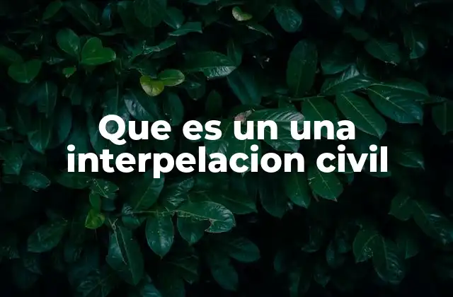 Que es un una Interpelacion Civil
