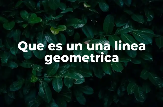 Que es un una Linea Geometrica