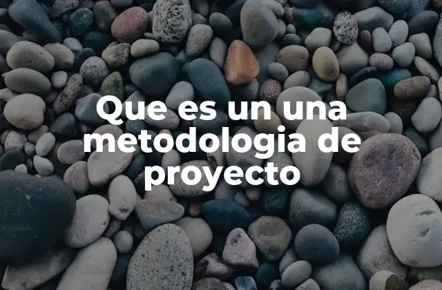 Que es un una Metodologia de Proyecto