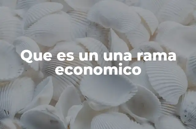 Que es un una Rama Economico