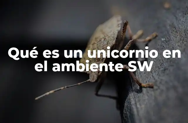 Qué es un Unicornio en el Ambiente Sw
