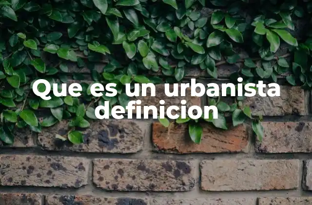 Que es un Urbanista Definicion