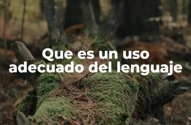 Que es un Uso Adecuado Del Lenguaje