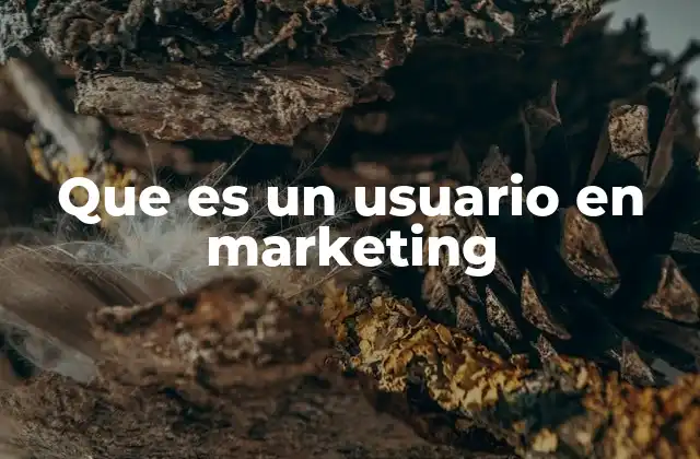 Que es un Usuario en Marketing