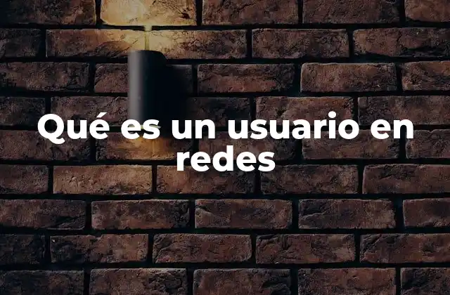 Qué es un Usuario en Redes