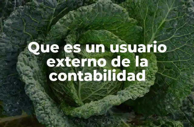 Que es un Usuario Externo de la Contabilidad