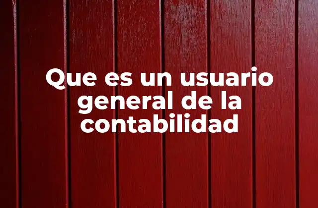 Que es un Usuario General de la Contabilidad 2 El rol del usuario general en la toma de decisiones económicas