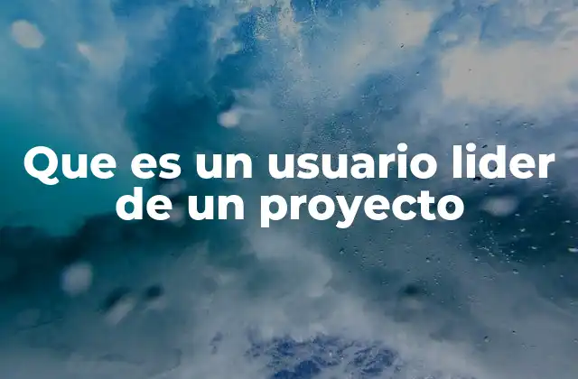 Que es un Usuario Lider de un Proyecto