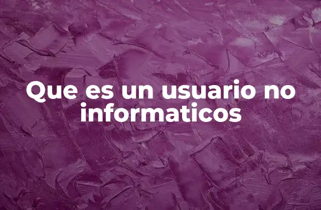 Que es un Usuario No Informaticos