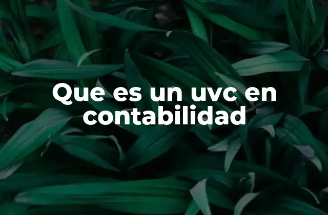Que es un Uvc en Contabilidad