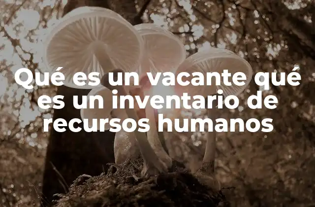 Qué es un Vacante Qué es un Inventario de Recursos Humanos