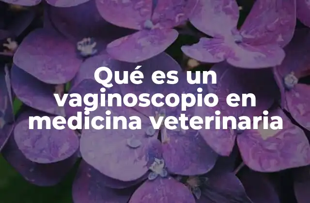 Qué es un Vaginoscopio en Medicina Veterinaria