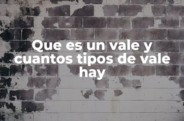 Que es un Vale y Cuantos Tipos de Vale Hay