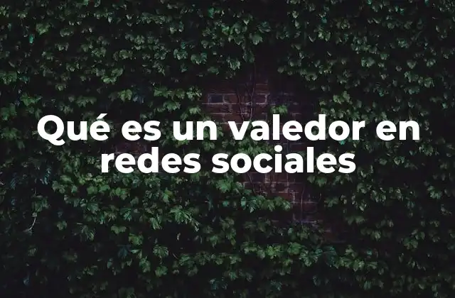 Qué es un Valedor en Redes Sociales