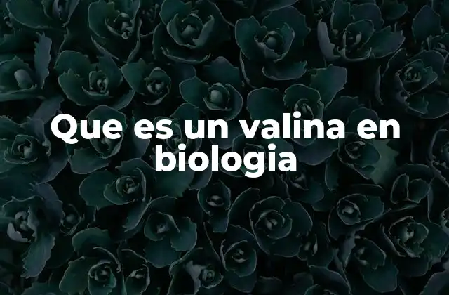 Que es un Valina en Biologia