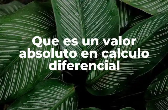 Que es un Valor Absoluto en Calculo Diferencial