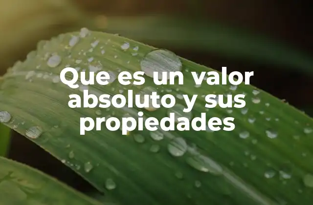 Que es un Valor Absoluto y Sus Propiedades