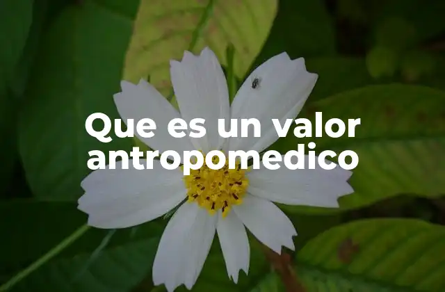 Que es un Valor Antropomedico