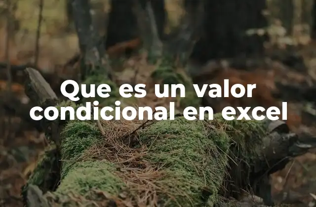 Que es un Valor Condicional en Excel