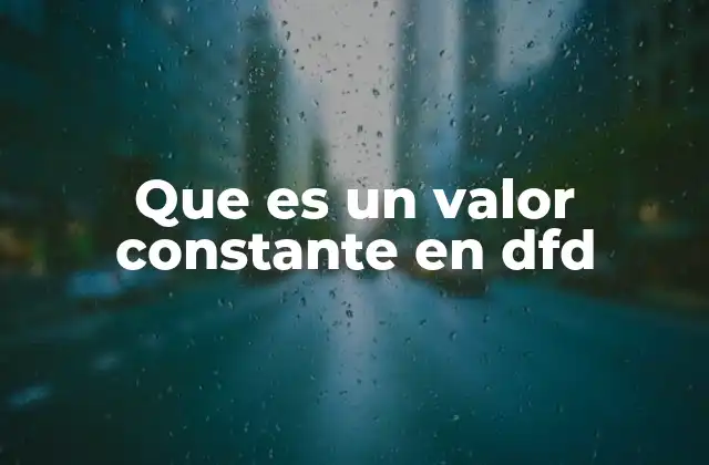 Que es un Valor Constante en Dfd