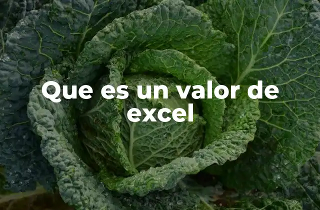 Que es un Valor de Excel