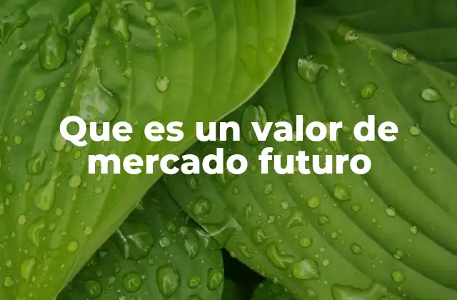 Que es un Valor de Mercado Futuro
