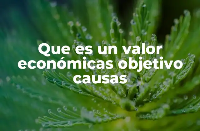 Que es un Valor Económicas Objetivo Causas
