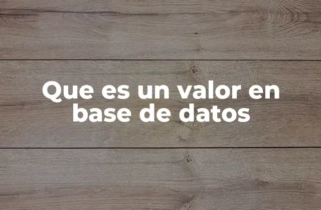 Que es un Valor en Base de Datos
