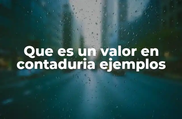 Que es un Valor en Contaduria Ejemplos