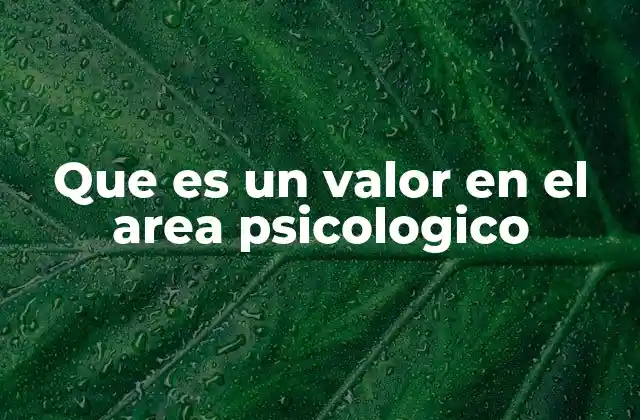 Que es un Valor en el Area Psicologico
