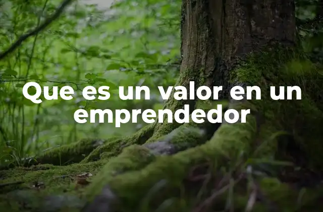 Que es un Valor en un Emprendedor
