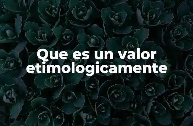 Que es un Valor Etimologicamente