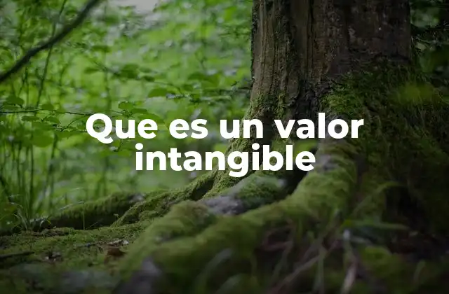 Que es un Valor Intangible