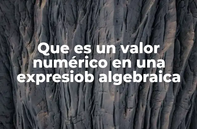 Que es un Valor Numérico en una Expresiob Algebraica