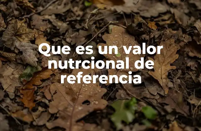 Que es un Valor Nutrcional de Referencia