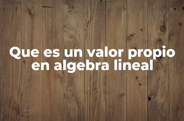 Que es un Valor Propio en Algebra Lineal