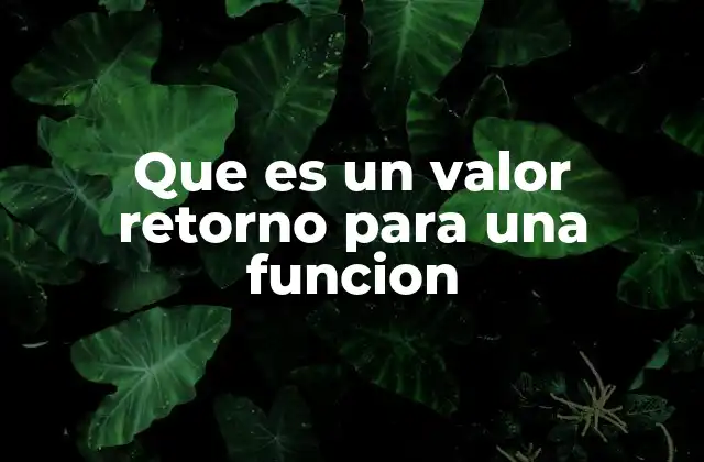Que es un Valor Retorno para una Funcion