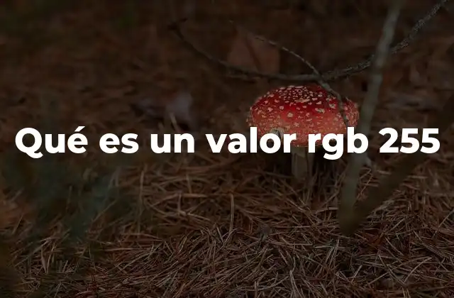 Qué es un Valor Rgb 255