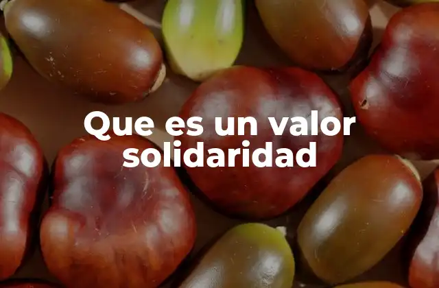 Que es un Valor Solidaridad