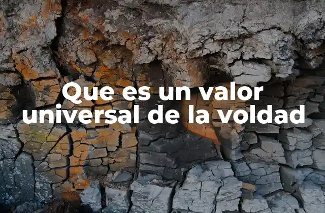 Que es un Valor Universal de la Voldad