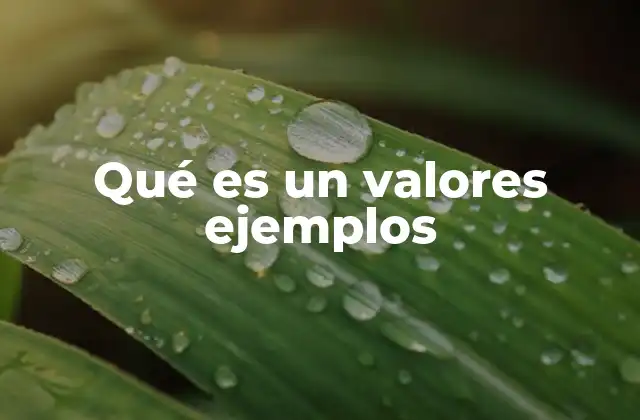 Qué es un Valores Ejemplos