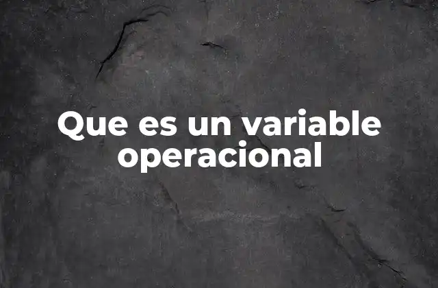 Que es un Variable Operacional