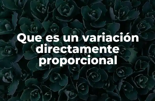 Que es un Variación Directamente Proporcional