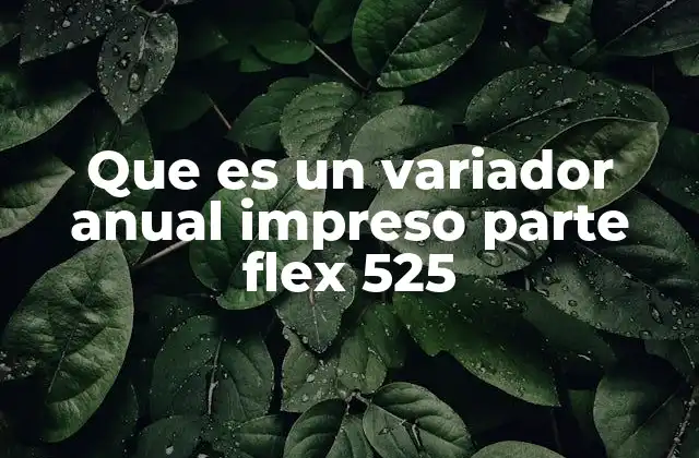 Funcionamiento y componentes principales del variador anual impreso