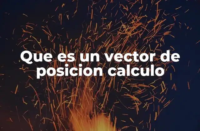 Que es un Vector de Posicion Calculo 2 El papel del vector de posición en la cinemática