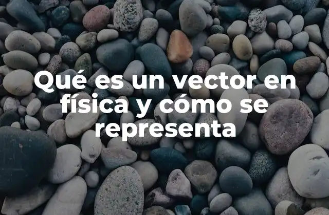 Qué es un Vector en Física y Cómo Se Representa