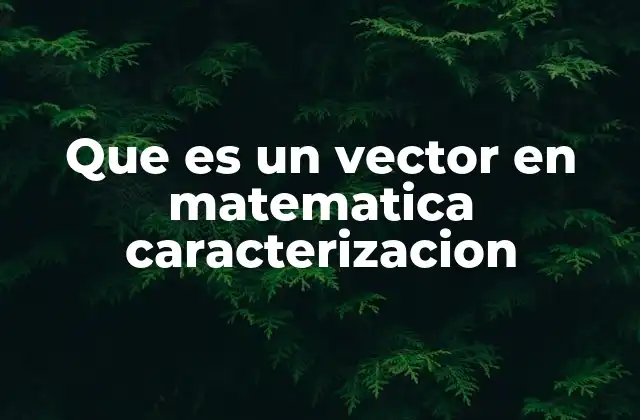 Introducción al concepto de magnitudes vectoriales y su representación