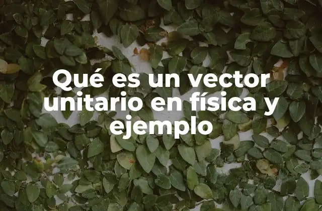 Qué es un Vector Unitario en Física y Ejemplo