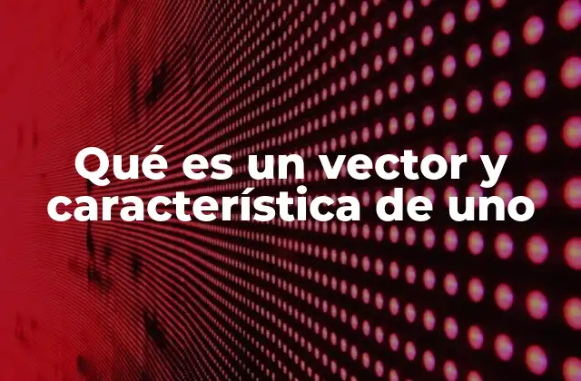 Qué es un Vector y Característica de Uno