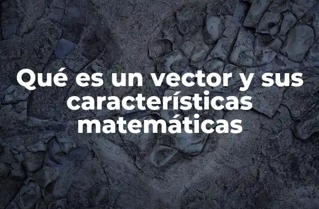 Qué es un Vector y Sus Características Matemáticas